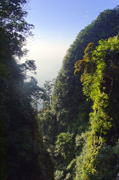 清晨峨眉
