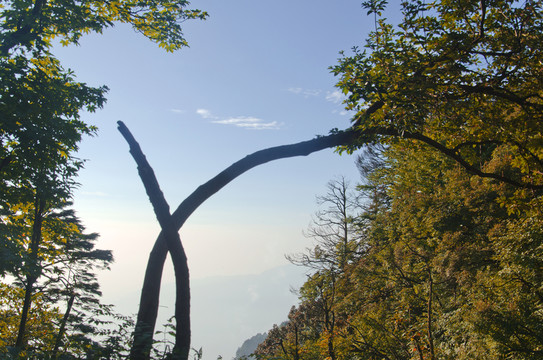 峨眉風(fēng)景