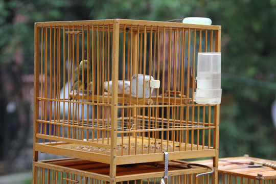 鳥籠