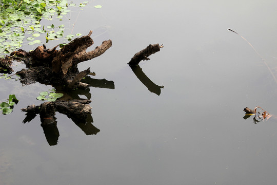 月牙湖公園