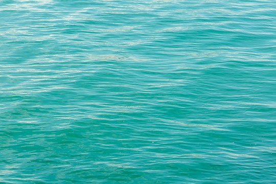 大海 海洋