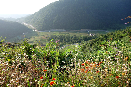 重慶武陵山景區(qū) 盤山公路