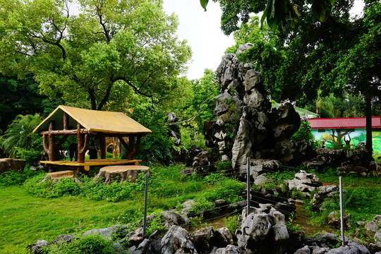 動物園假山