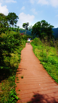 園林道路