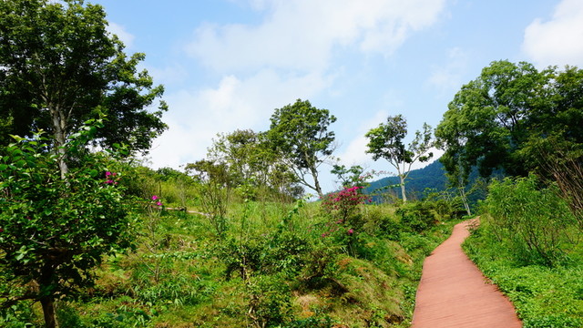 園林小路風景