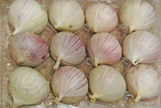 獨(dú)頭蒜 紫蒜 黑蒜