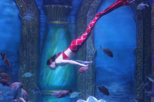 美人魚
