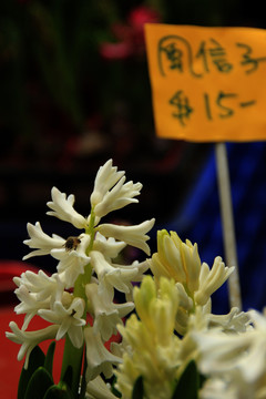 花