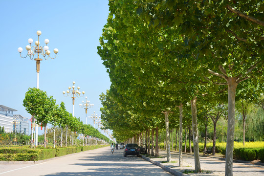 城市道路