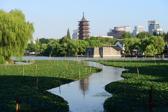 南湖