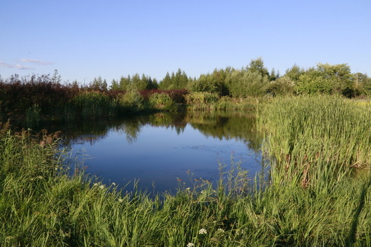濕地公園