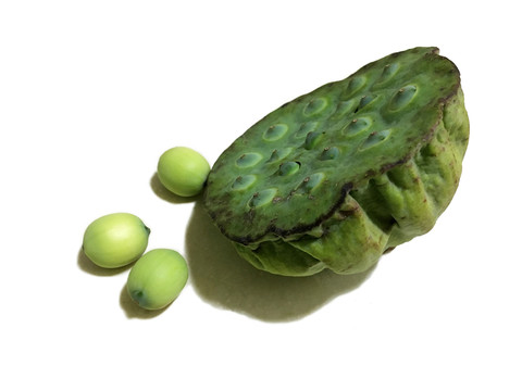 蓮蓬蓮子特寫