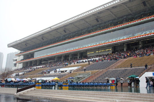 賽馬場
