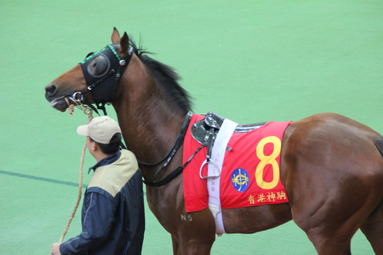賽馬場