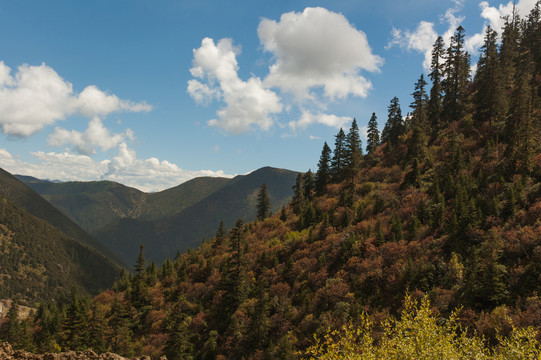 高爾寺山風景