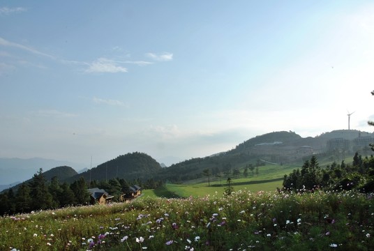 云陽高山草場
