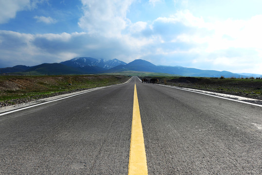 遠山公路