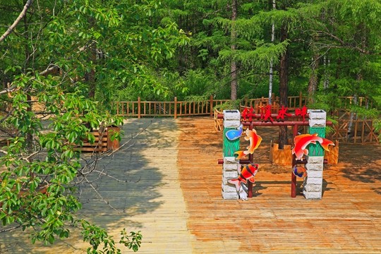 森林公園