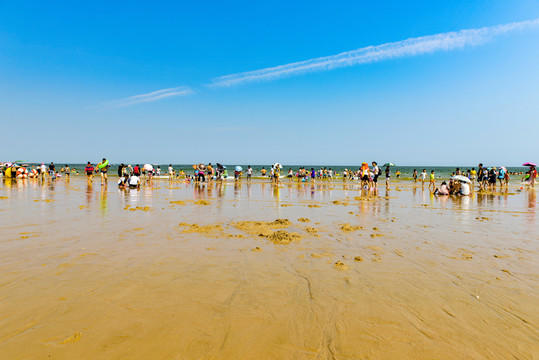 海水浴場 沙灘