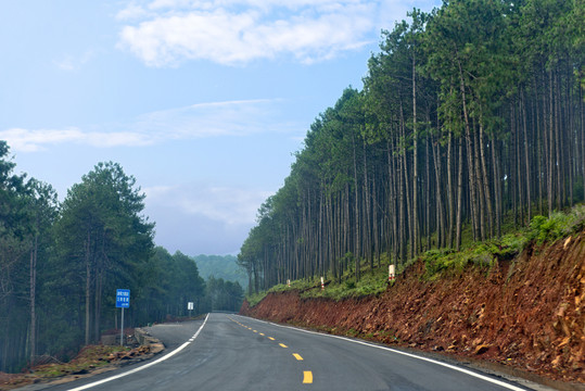 晨霧中的鄉(xiāng)村公路
