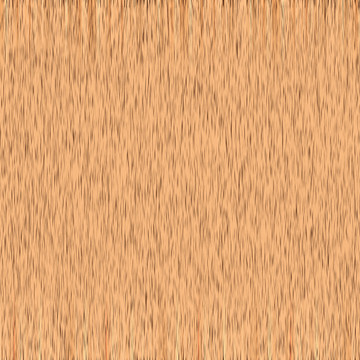 木紋