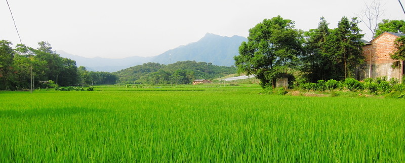 田園