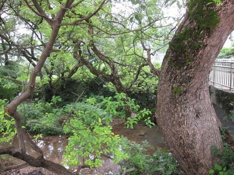 小河邊