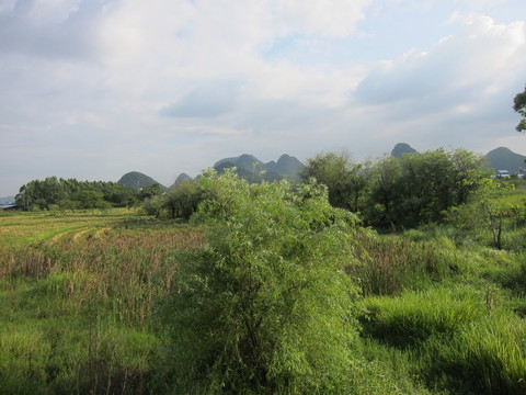 田園