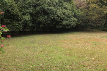 高爾夫球場(chǎng)