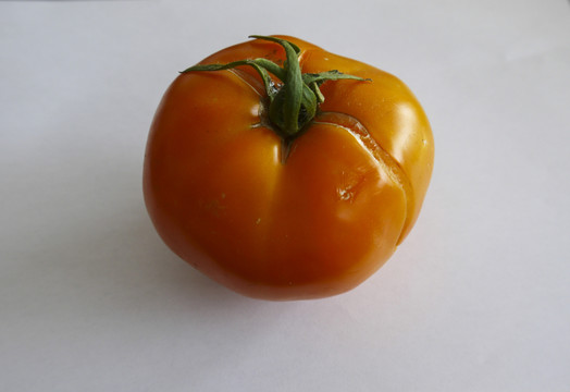 西紅柿