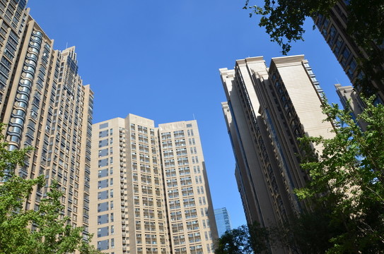 高樓