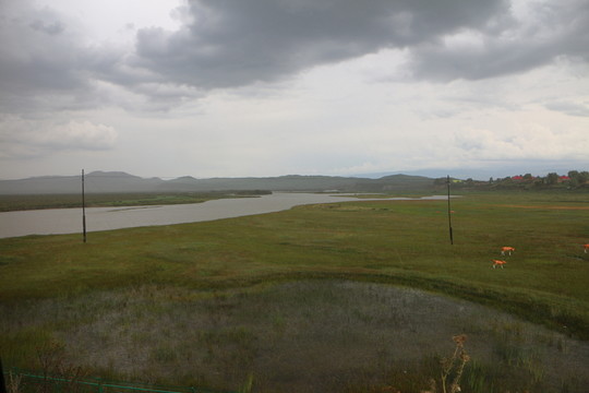 河岸濕地