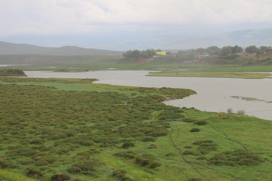 河岸濕地