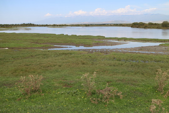 河流 草場(chǎng)