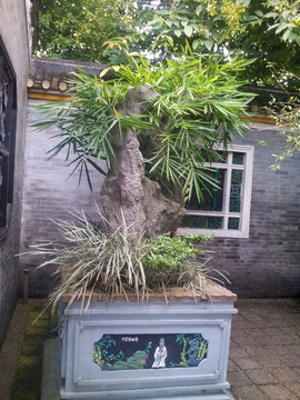 盆景造型