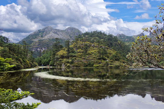 高山濕地