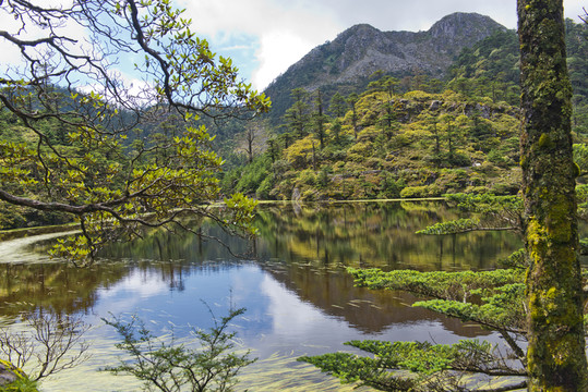 高山濕地