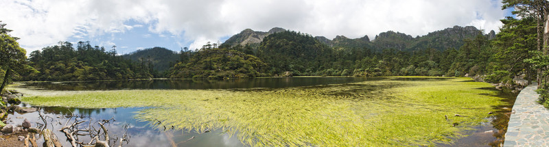 仙草胡全景圖