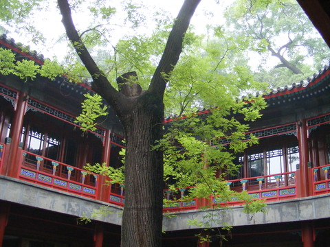 北海公園