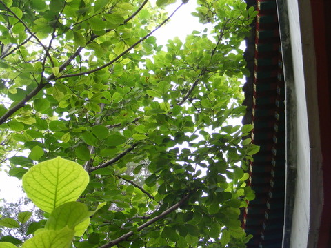 北海公園