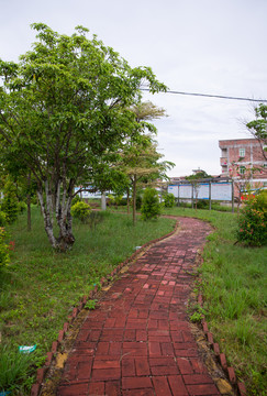 綠道 人行綠道