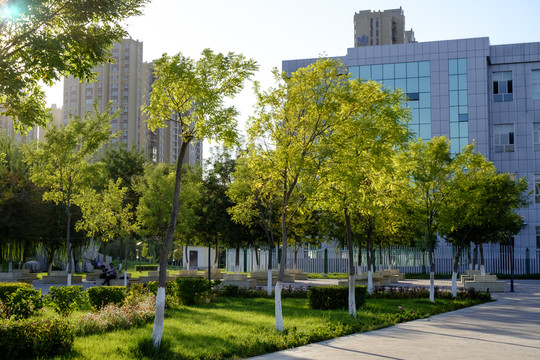 城市綠地