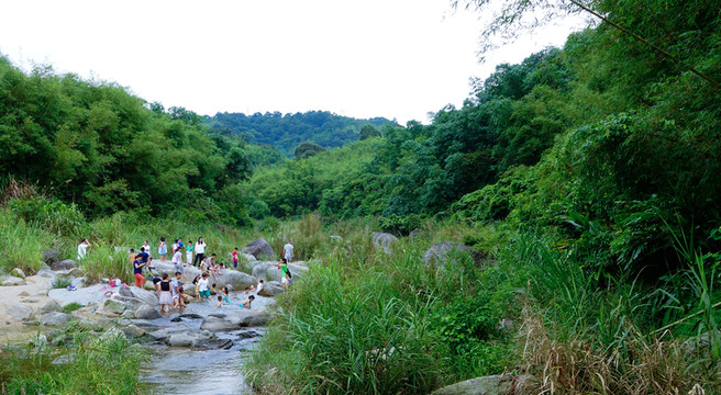 山泉 溪流 溪水
