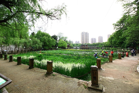 江西省鷹潭市梅園公園