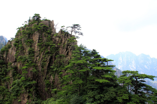 黃山