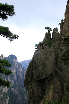 黃山