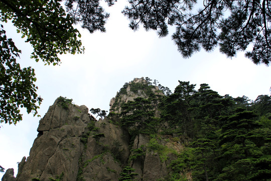 黃山