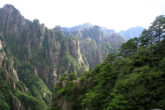 黃山