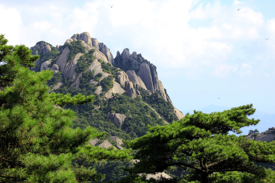 黃山