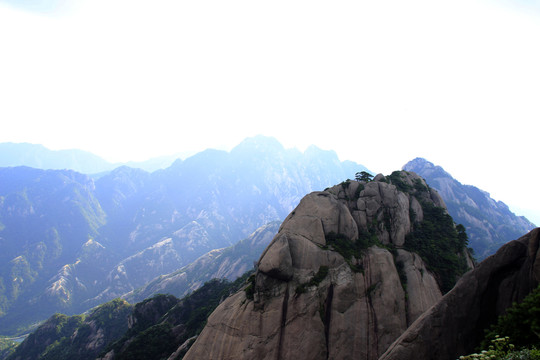 黃山